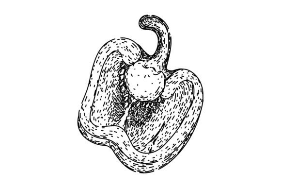 Download Ingredient Pepper Spice Sketch Hand Draw - Ingredient Collection