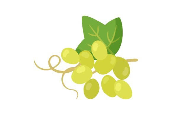 Download Cooking Oil Ingredient Vector Illustrati - Ingredient Collection